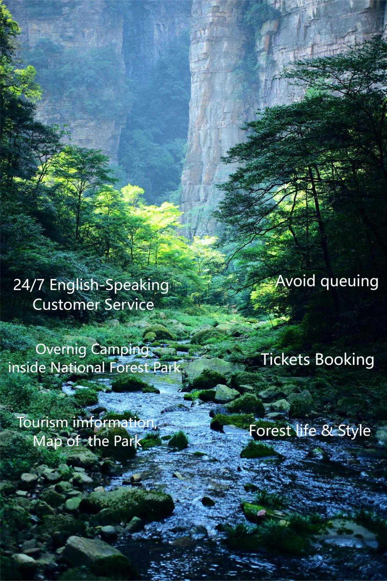 Zhangjiajie National Forest Park Camping Kültér fotó
