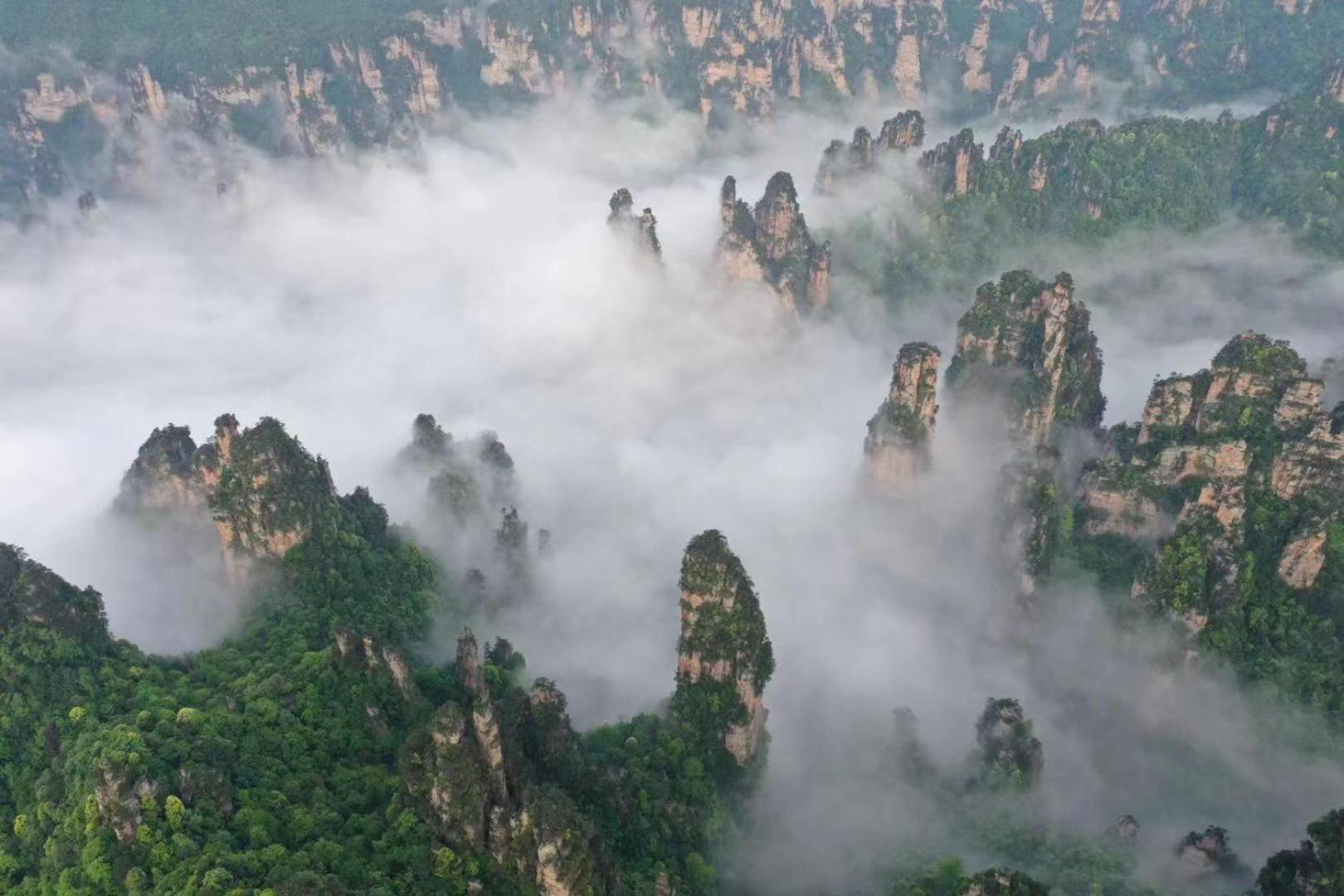 Zhangjiajie National Forest Park Camping Kültér fotó